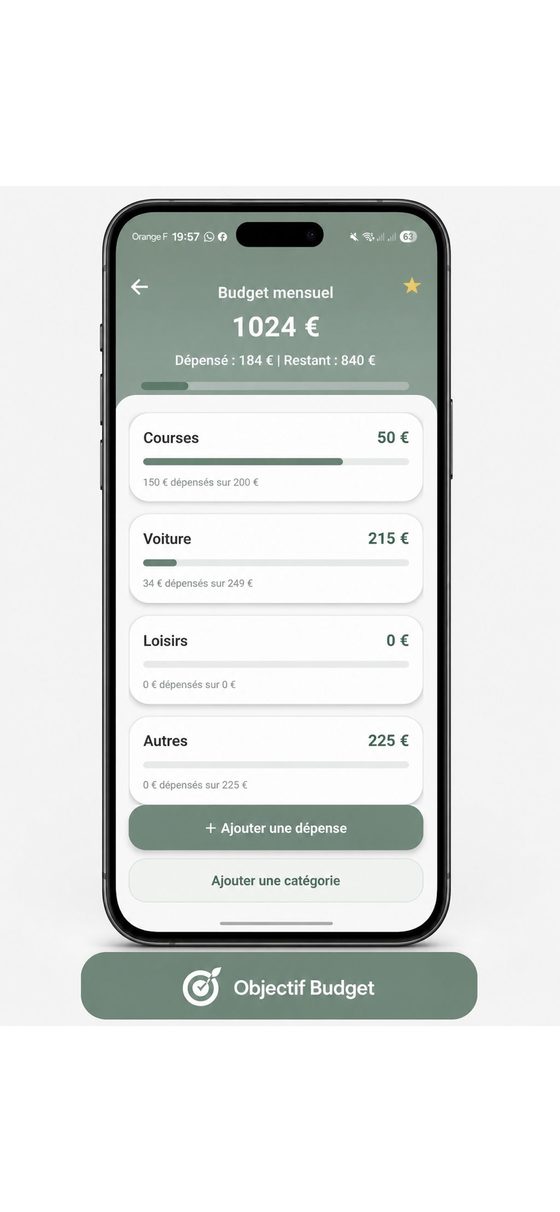 Suivi du budget par catégories